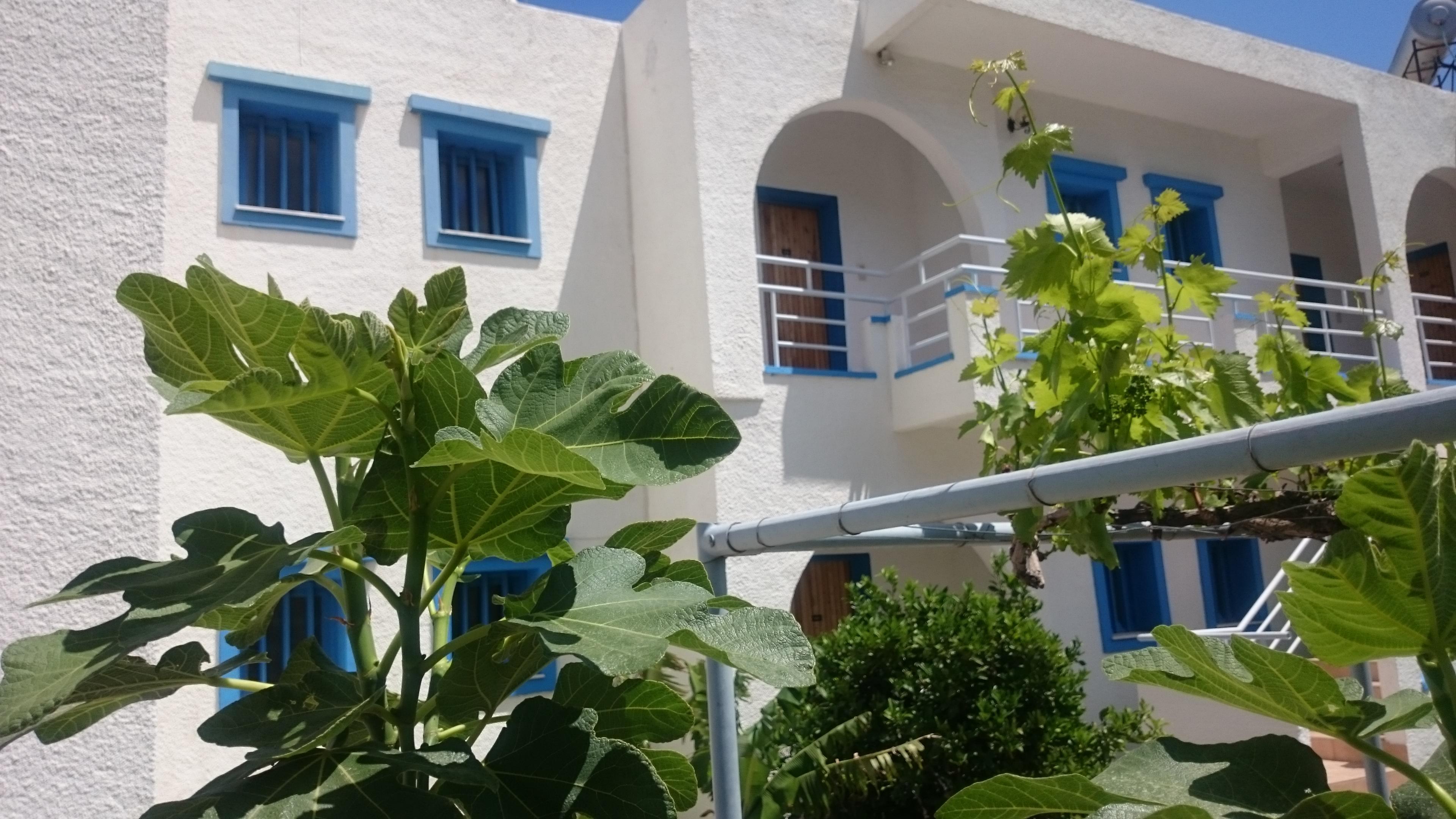 Amazones Villas Apartments Херсонісос Екстер'єр фото