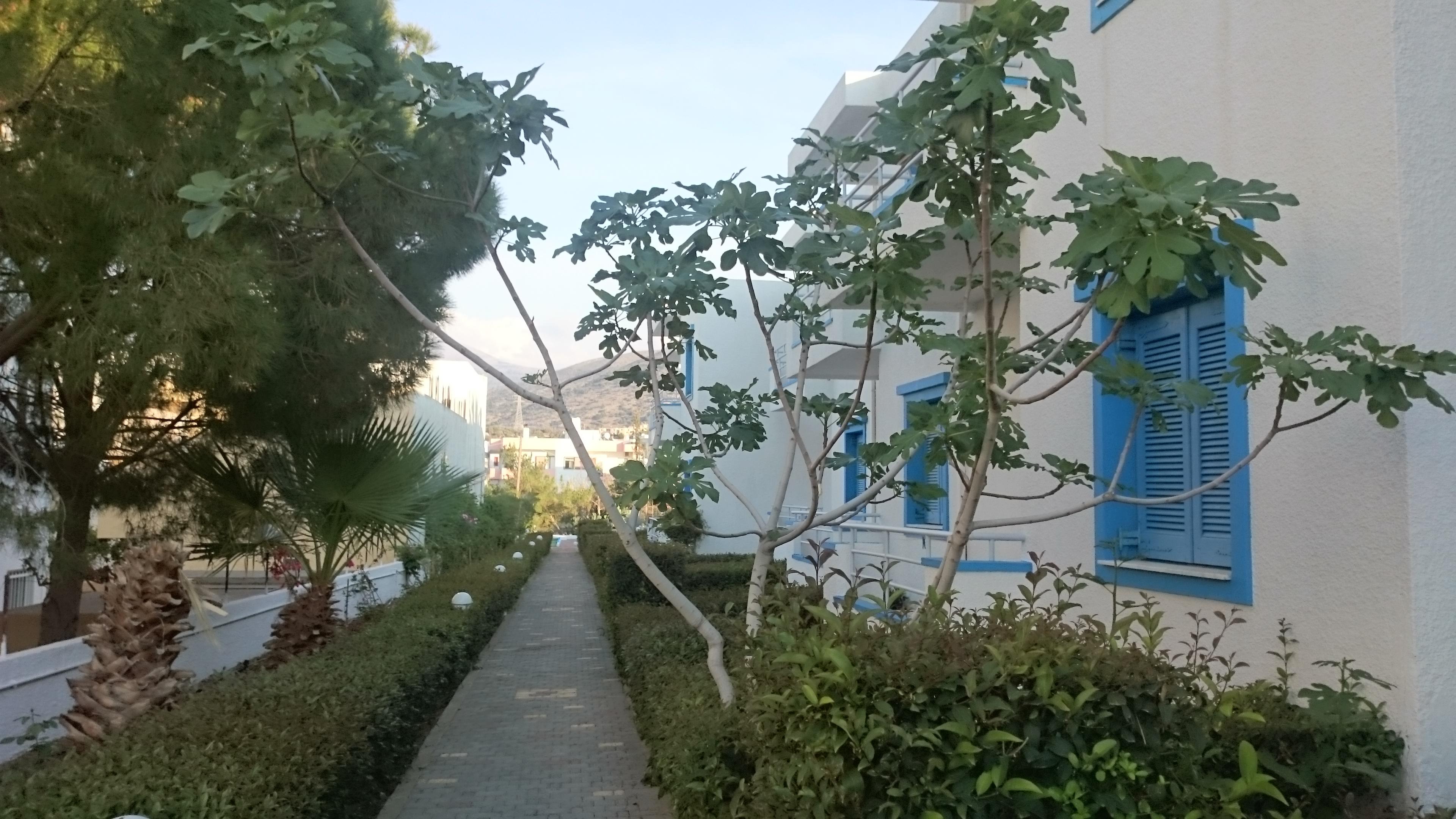 Amazones Villas Apartments Херсонісос Екстер'єр фото